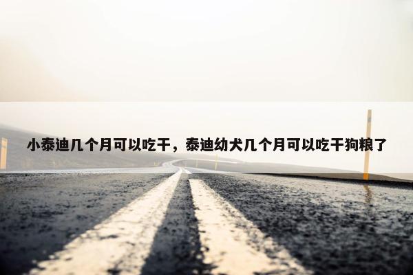 小泰迪几个月可以吃干，泰迪幼犬几个月可以吃干狗粮了