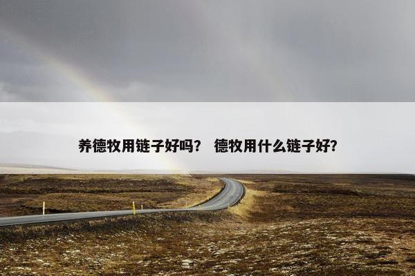 养德牧用链子好吗？ 德牧用什么链子好？