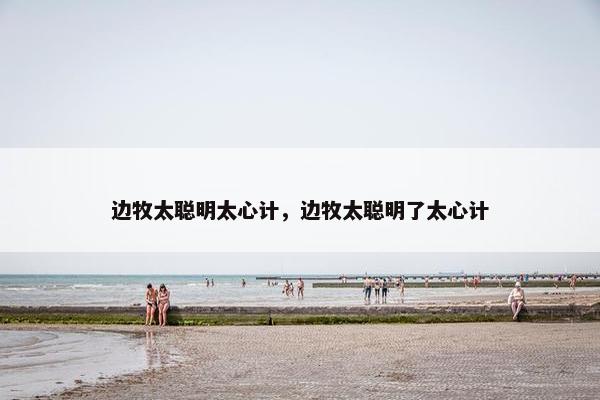 边牧太聪明太心计，边牧太聪明了太心计