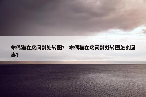 布偶猫在房间到处转圈？ 布偶猫在房间到处转圈怎么回事？