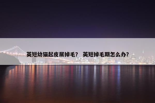 英短幼猫起皮屑掉毛？ 英短掉毛期怎么办？