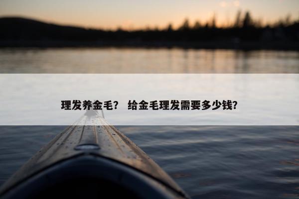 理发养金毛？ 给金毛理发需要多少钱？