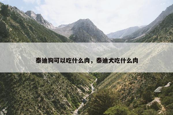 泰迪狗可以吃什么肉，泰迪犬吃什么肉