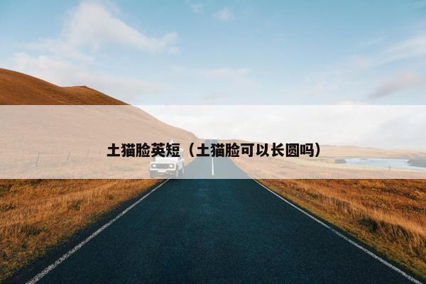 土猫脸英短（土猫脸可以长圆吗）