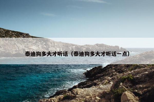 泰迪狗多大才听话（泰迪狗多大才听话一点）