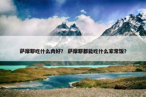 萨摩耶吃什么肉好？ 萨摩耶都能吃什么家常饭？