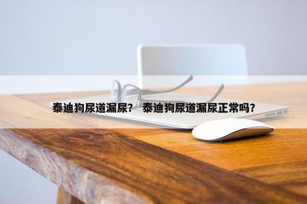 2025年10月 第241页