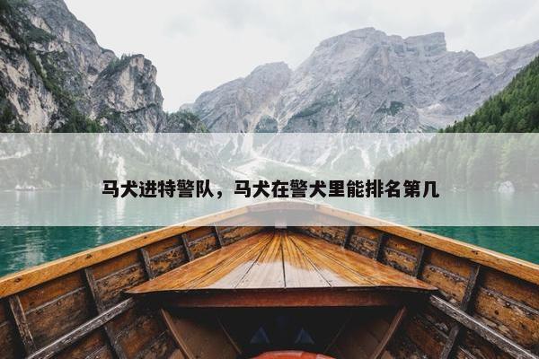 马犬进特警队，马犬在警犬里能排名第几