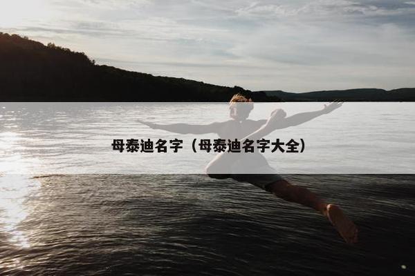 母泰迪名字（母泰迪名字大全）