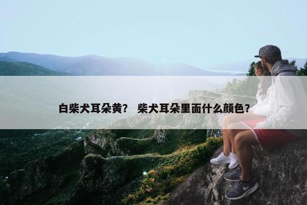 白柴犬耳朵黄？ 柴犬耳朵里面什么颜色？