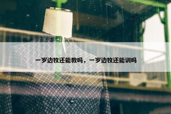 一岁边牧还能教吗，一岁边牧还能训吗