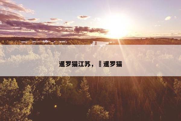暹罗猫江苏， 暹罗猫