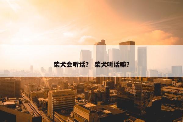 柴犬会听话？ 柴犬听话嘛？