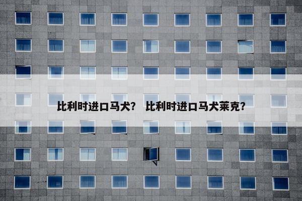 比利时进口马犬？ 比利时进口马犬莱克？