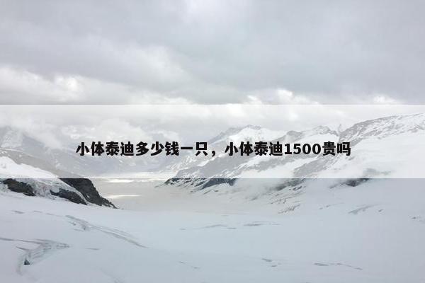 小体泰迪多少钱一只，小体泰迪1500贵吗