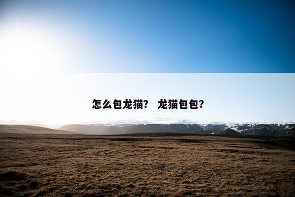 怎么包龙猫？ 龙猫包包？
