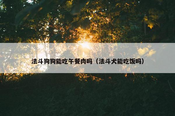 法斗狗狗能吃午餐肉吗（法斗犬能吃饭吗）