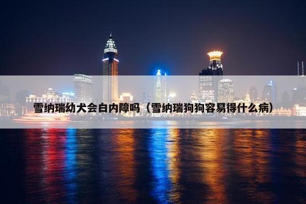 白内障