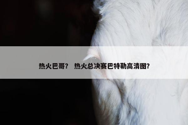 热火巴哥？ 热火总决赛巴特勒高清图？
