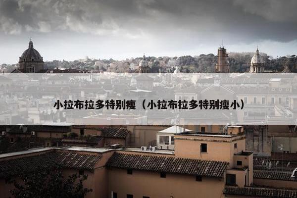 小拉布拉多特别瘦（小拉布拉多特别瘦小）