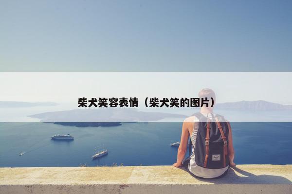 柴犬笑容表情（柴犬笑的图片）