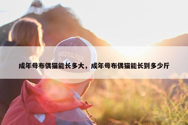 成年母布偶猫能长多大，成年母布偶猫能长到多少斤