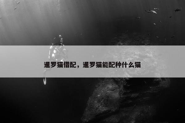 暹罗猫借配，暹罗猫能配种什么猫