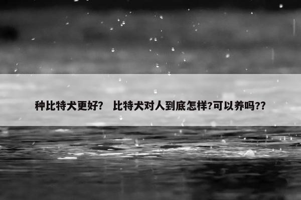 种比特犬更好？ 比特犬对人到底怎样?可以养吗?？