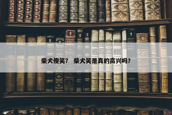 柴犬傻笑？ 柴犬笑是真的高兴吗？