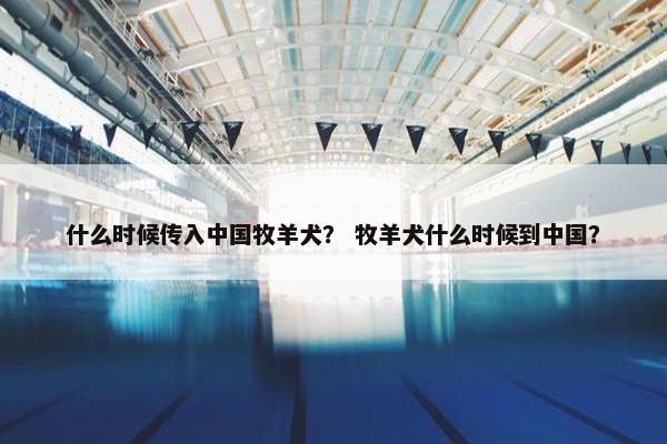 什么时候传入中国牧羊犬？ 牧羊犬什么时候到中国？