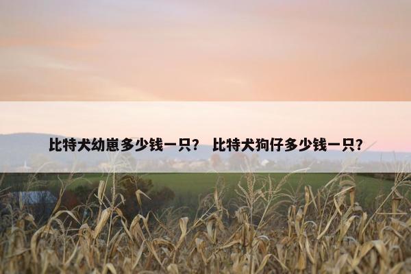 比特犬幼崽多少钱一只？ 比特犬狗仔多少钱一只？
