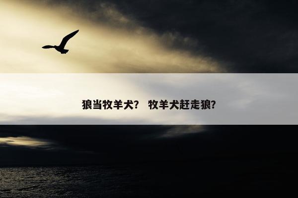 狼当牧羊犬？ 牧羊犬赶走狼？