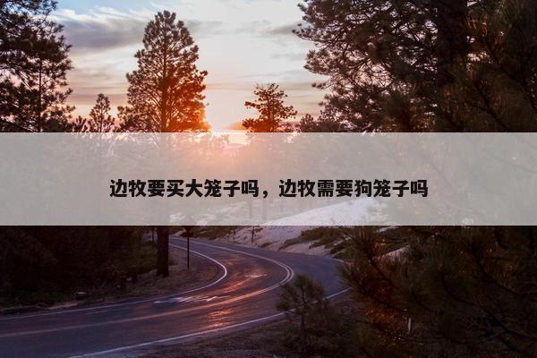 边牧要买大笼子吗，边牧需要狗笼子吗