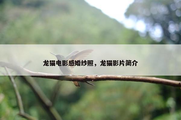 龙猫电影感婚纱照，龙猫影片简介