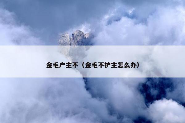 2025年10月4日