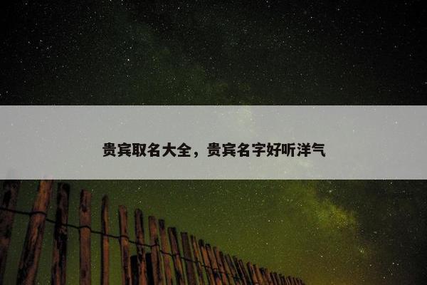 贵宾 第7页