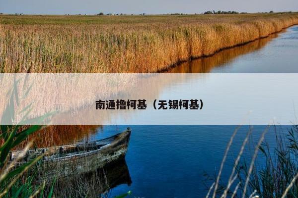 南通撸柯基（无锡柯基）