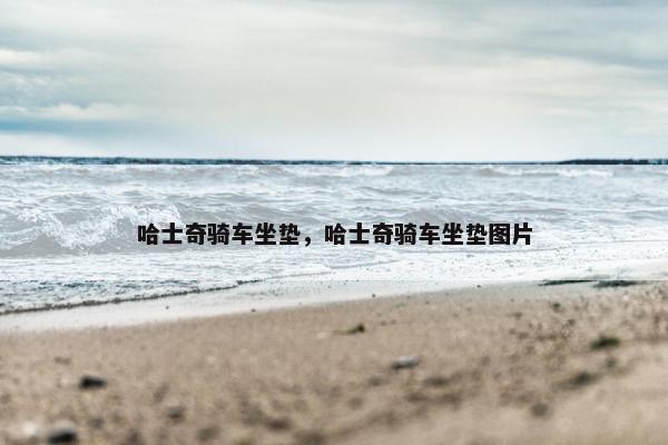 车型