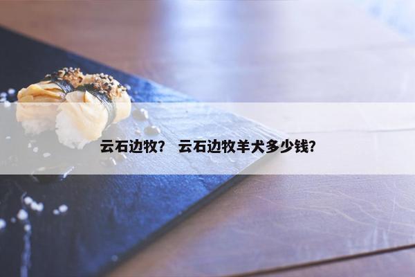 云石边牧？ 云石边牧羊犬多少钱？