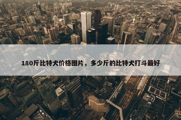 180斤比特犬价格图片，多少斤的比特犬打斗最好