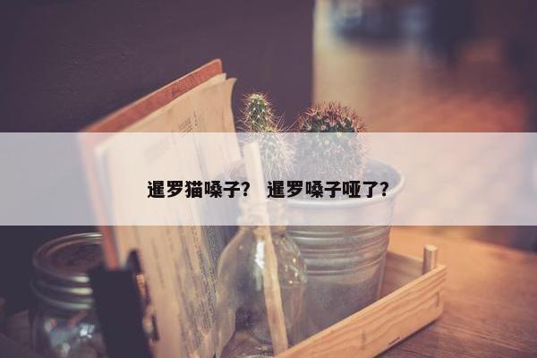 暹罗猫嗓子？ 暹罗嗓子哑了？