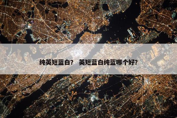 纯英短蓝白？ 英短蓝白纯蓝哪个好？