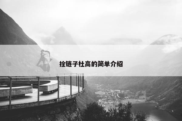 拴链子杜高的简单介绍