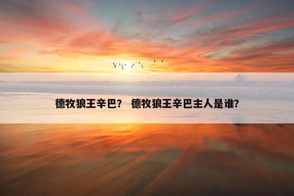 辛巴
