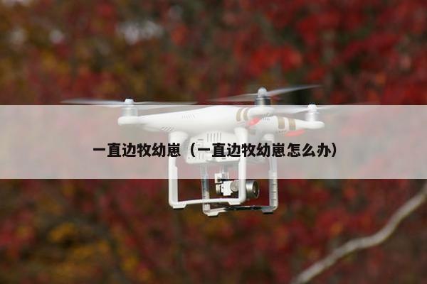 一直边牧幼崽（一直边牧幼崽怎么办）