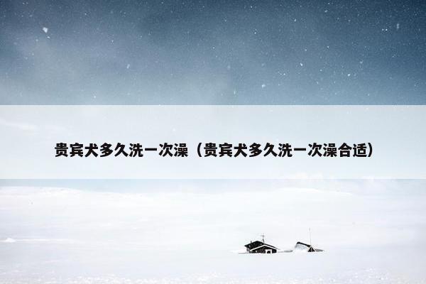 贵宾犬多久洗一次澡（贵宾犬多久洗一次澡合适）