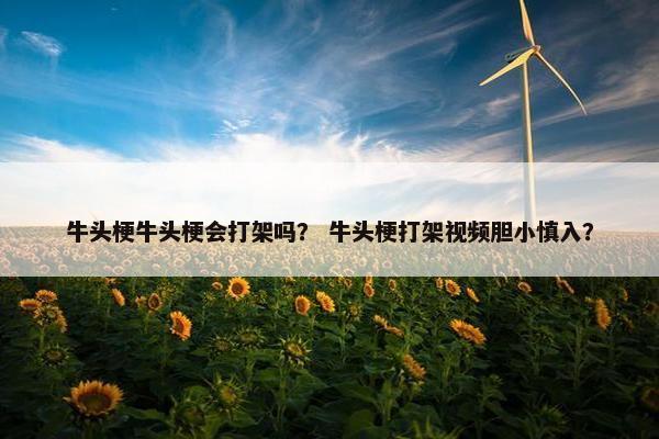 牛头梗牛头梗会打架吗？ 牛头梗打架视频胆小慎入？