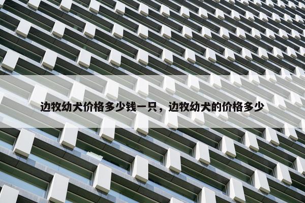 边牧幼犬价格多少钱一只，边牧幼犬的价格多少