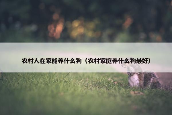 农村人在家能养什么狗（农村家庭养什么狗最好）