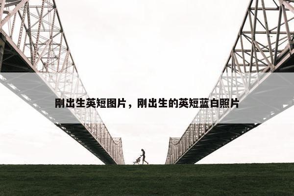刚出生英短图片，刚出生的英短蓝白照片